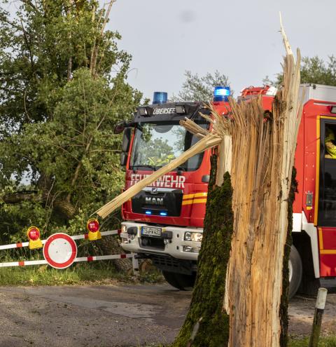 Kräftige Sturmböen knickten Bäume um, als wären es Streichhölzer