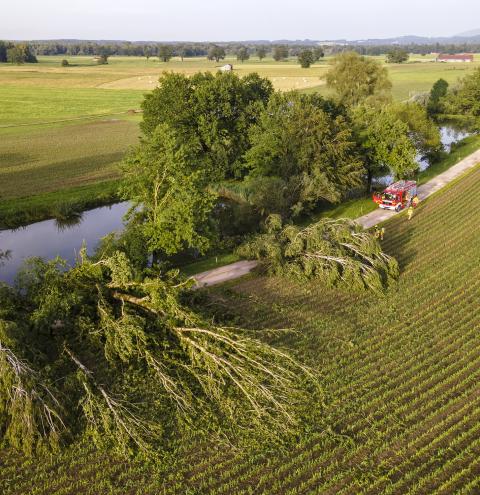 "Baum auf Fahrbahn" - häufig wurden die Feuerwehren am Donnerstagabend (20.6.) mit diesem Alarmstichwort zum Einsatz gerufen