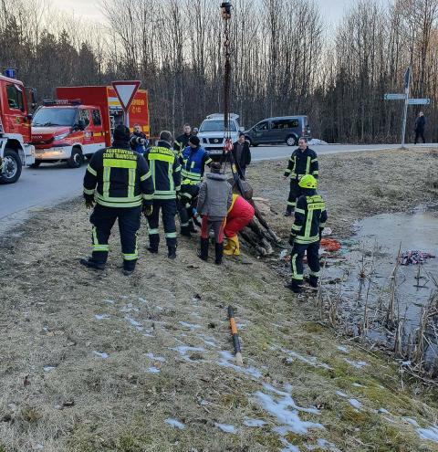 Feuerwehr hilft Pferd in Nöten