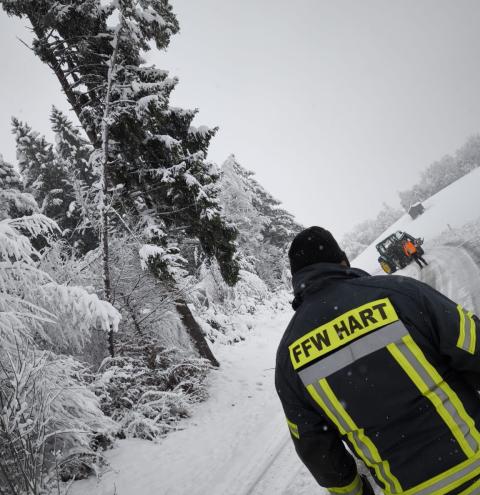 Hart - Ein Waldstück wurde gesperrt