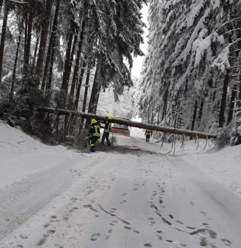 Schnaitsee - Baum über Fahrbahn