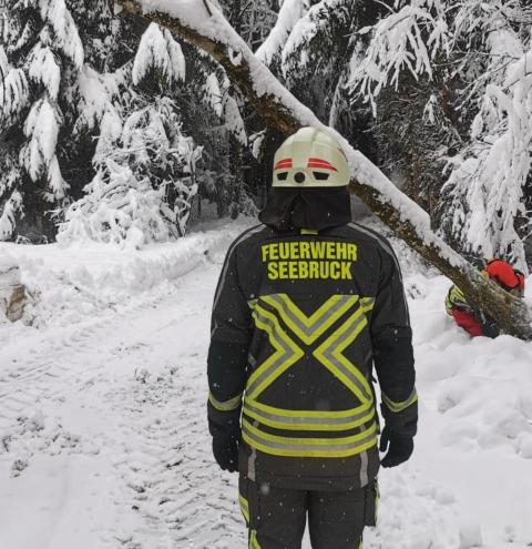 Seebruck - Motorsäge im Einsatz